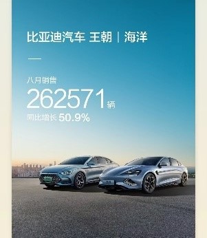 BYD, شبكة السيارات الصينية