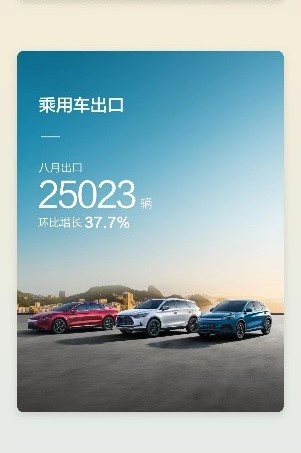 BYD, شبكة السيارات الصينية
