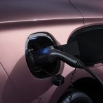 بي واي دي سيل 7 بريميوم 2025