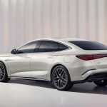 بي واي دي سيل 7 بريميوم 2025