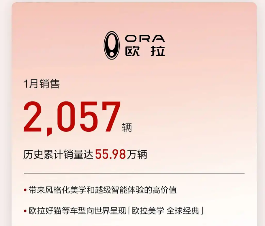 شبكة السيارات الصينية &ndash; GWM تبدأ 2026 بقوة: مبيعات يناير تتجاوز 90 ألف سيارة ونمو الصادرات بنسبة 43.7%