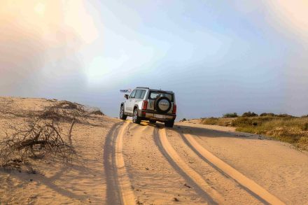 هافال V7.. ماذا يقدم الدفع الرباعي الذكي والديفلوك الخلفي على الطرق الوعرة؟
