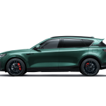 فويا فري REEV 2026